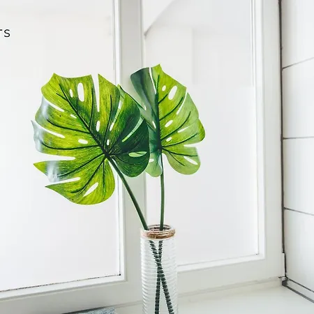 Deluxe Nahe Zentrum 2